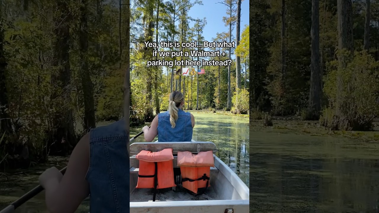 JK I ❤️ the swamp at Cypress Gardens. 🐊✨ 