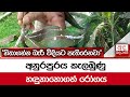 අනුරපුරය|sin