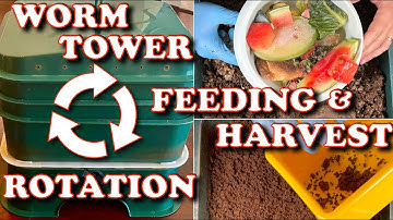 Best Way To Rotate, Harvest & Feed A Worm Tower! | Vermicompost Worm Farm