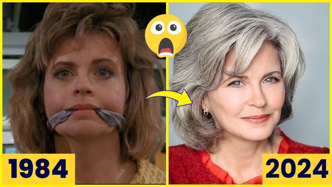 Airwolf 1984 Cast Then and Now 2024 Unbelievable Transformations YouTube