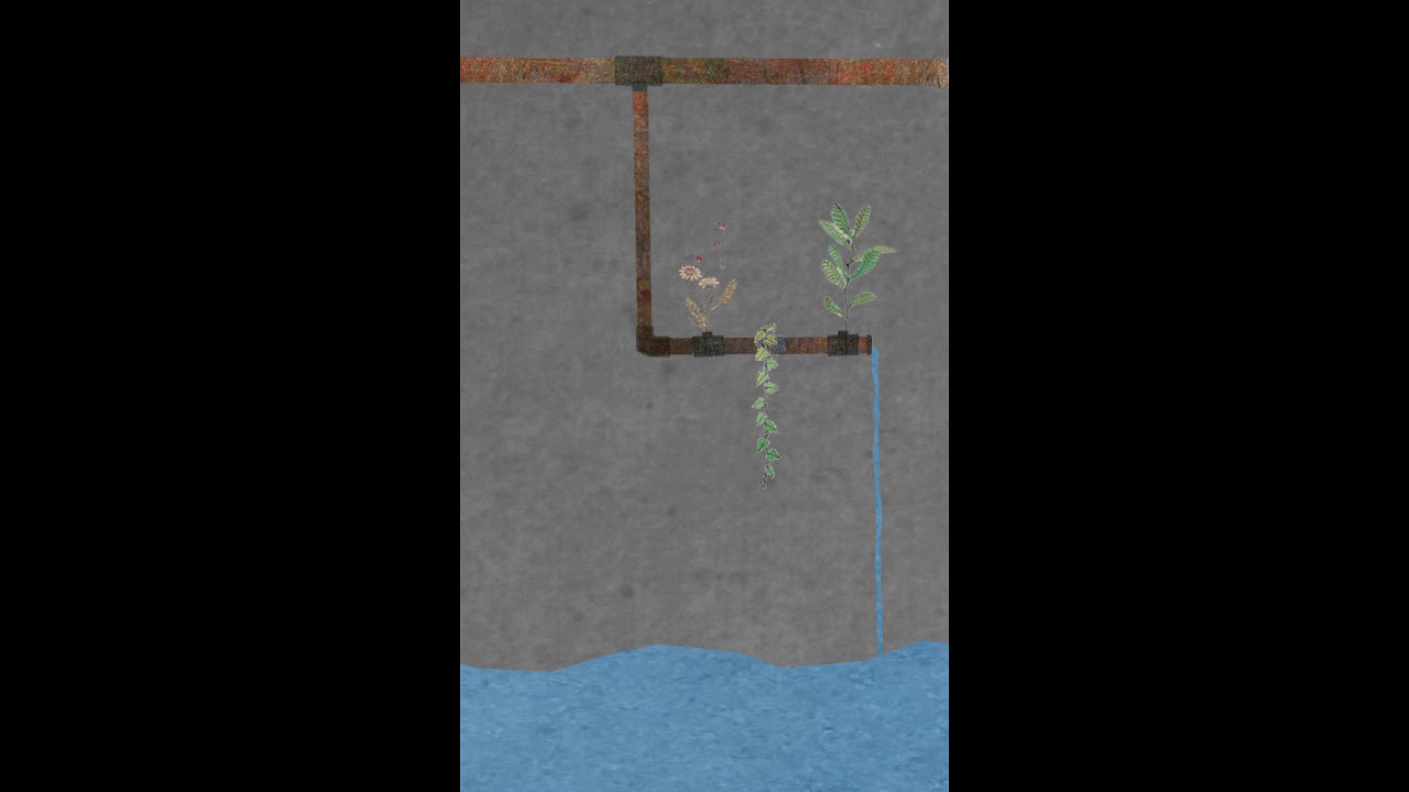 երկար բառեր / long words