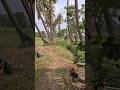 Polam Veldamaaa??#ytshorts #telugushorts #yt #villagelife #viralvideo #viral #villagevlog #village