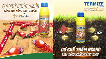 Termize 200SC Diệt mối cả đàn cho nhà, công trình, cây trồng. Không mùi an toàn tiết kiệm | AnBIO.vn
