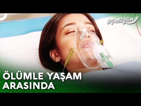 Bizi Bırakma Ichcha!