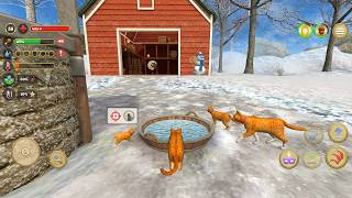 Cat Simulator : Kitties Family (SecondChild) Android Gameplay screenshot 2