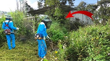 We Could Have Died While Cleaning: We Chased a Giant Python in a Mysterious Abandoned House