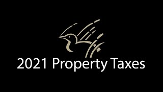 2021 Property Tax Info