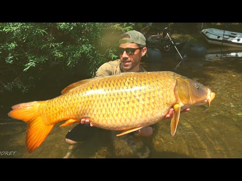 On Pêche des CARPES d'un autre monde.