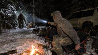 Inside The Forbidden Winter Woods: The Screams Nobody Can Explain