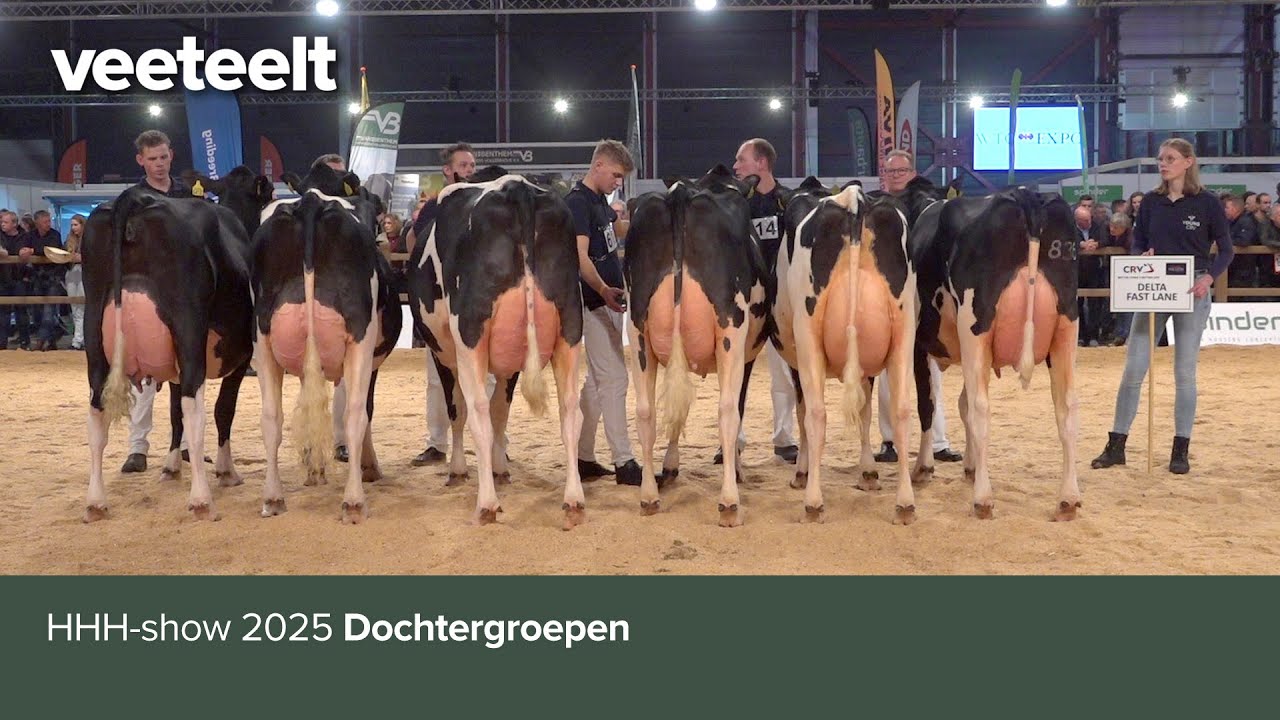 HHH-show 2025 dochtergroepen