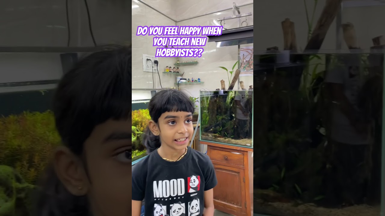 5 Secrets to Raising GENIUS Kids at Mumbai’s Nature Aquarium Gallery! 🧠🐠 
