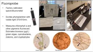 Stone Lab REU Presentations 2017