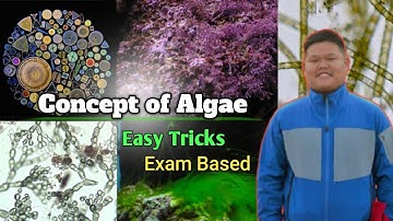 6 Algal Species In Just 1 Lecture ( B.Sc. First Year, Botany )