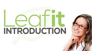 What is Leaf it and Can You Make Money? Introduction to Leafit and the it App! screenshot 4
