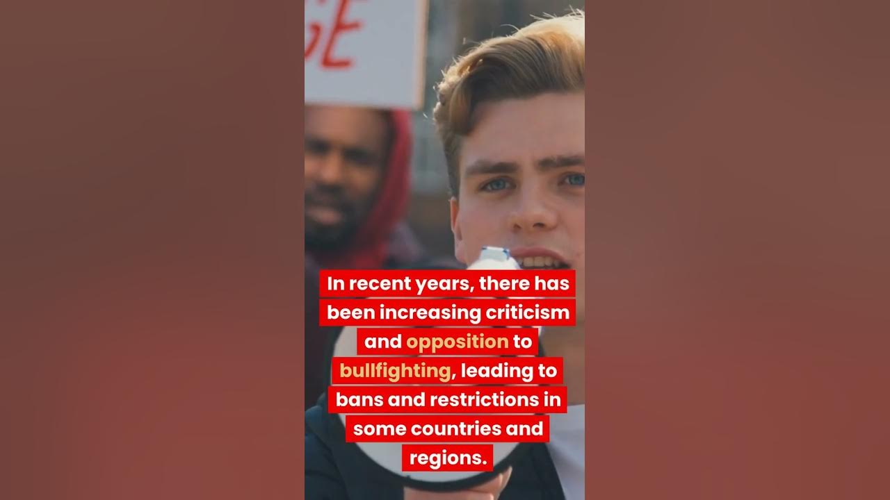 What happens to the bulls after the running of the bulls? YouTube