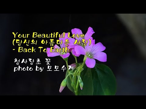 Your Beautiful Love (당신의 아름다운 사랑) / <strong>Back</strong> To Earth &amp;<strong>amp</strong>; photo by 모모수계