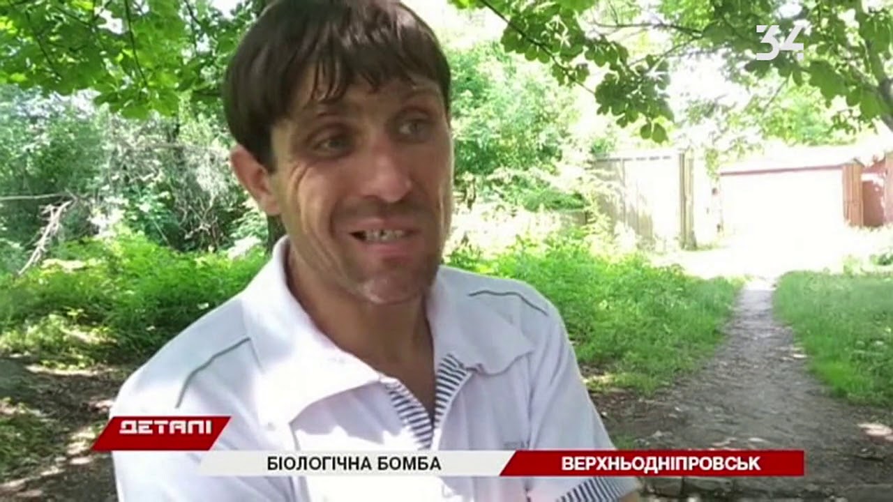 В Верхнеднепровске люди требуют закрыть предприятие, где перерабатывают потроха животных