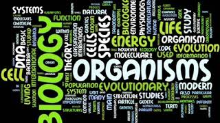 SCIENTIFIC INQUIRY | SUSAN BLACKABY | BY YASHNA