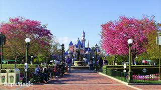 Disneyland Cast Member Welcome Home | DISNEY THIS DAY | April 27, 2021