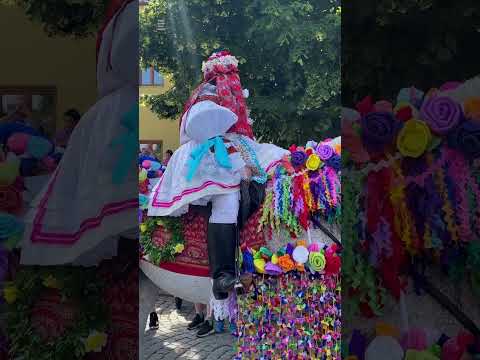 Short video