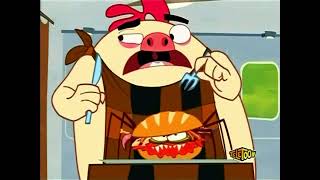 Teletoon Screen Bug 2009?