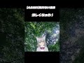 ASMR 涼しくなれる自然の音 ASMR 涼しくなれる自然の音