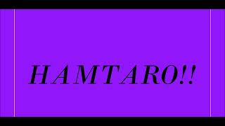 Hamtaro Theme Song Lyrics
