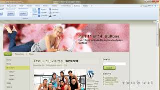 Artisteer Tutorial WordPress 11/14 Buttons