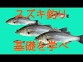 【スズキ釣り】シーバス　エサ釣り・のませ釣り　仕掛けや釣り方の基礎解説スズキ