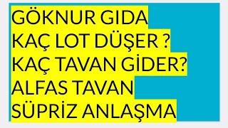 Göknur Gida Halka Arz Talep Toplama Başliyor. Kaç Lot Düşer?Kaç Tavan Gi̇der ? Alfas Süpri̇z Haber Var