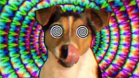 The Orb - "Daze" (Missing & Messed Up Mix) Official Video