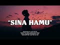 Emotional Baibuda X Guitar Instrumental SINA HAMU 