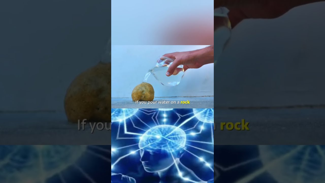 This Is A Rock And Water Meme X Galaxy Brain Shorts Memes
