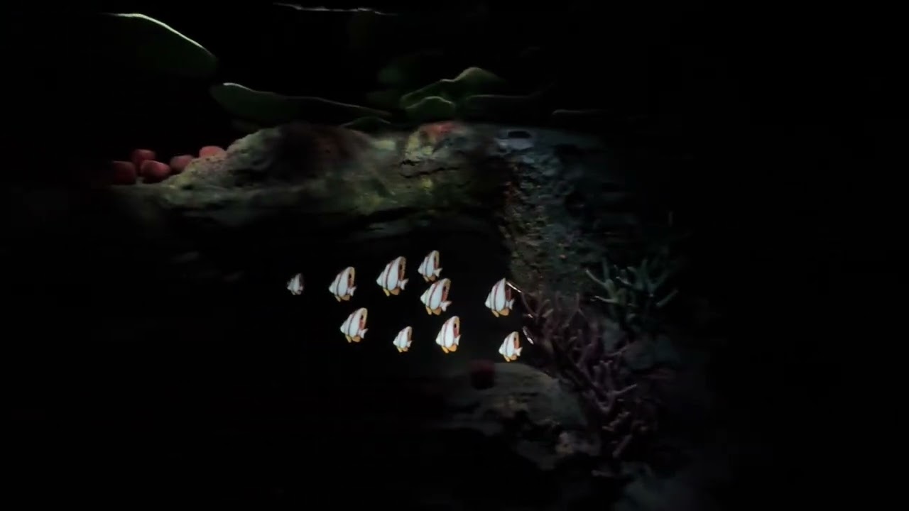 Nemo ride at Epcot - 2026