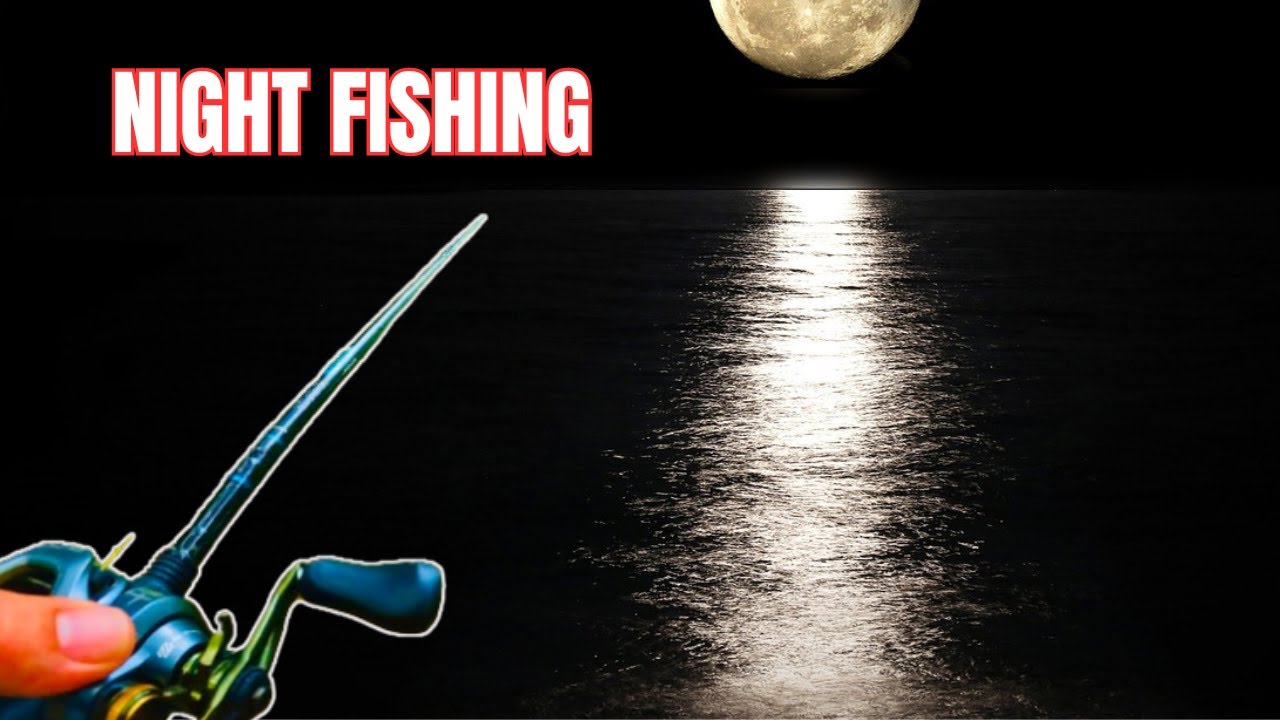 BIG BASS Fishing TIPS & TRICKS  #bassfishing #fishing #fishingvideo