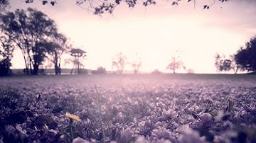 ماتيّسر من سورة الانبياء | القارئ وديع اليمني