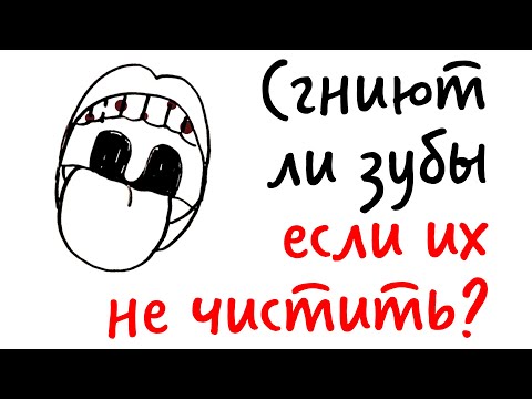 СГНИЮТ ЛИ ЗУБЫ, если их не чистить? — Научпок