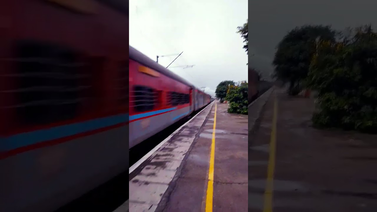 wap4 in action🤩 