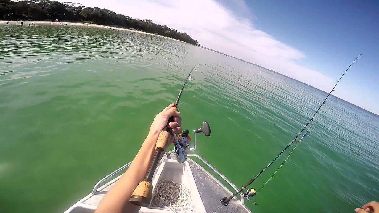 Jervis Bay Fishing Spinning for Salmon YouTube