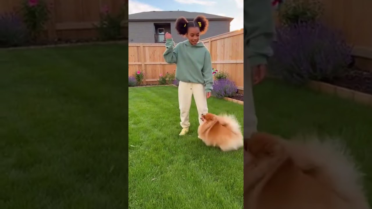 Learning Colors with Fun Toys! 🌈 