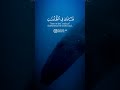 القارئ أسلام صبحي وذا النون اذ ذهب مغاضبا القارئ أسلام صبحي وذا النون اذ ذهب مغاضبا