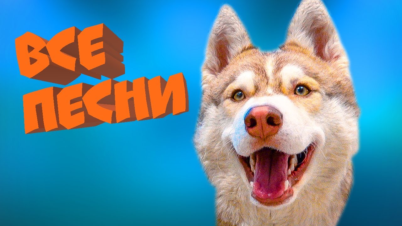 Хаски Бублик. Хасячий РЭП. Все Песни Подряд! - YouTube