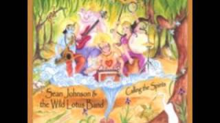 Miniatura de "Sean Johnson and the Wild Lotus Band - Om Namah Shivaya"