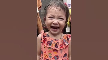 Dott Animation Diploma Courses