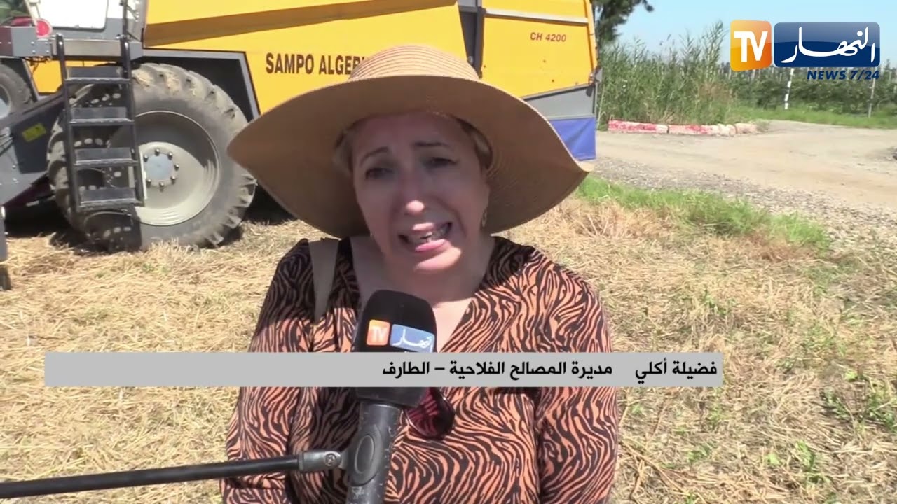 الطارف : إنطلاق موسم الحصاد و الدرس وتوقعات بتراجع رهيب في منتوج الحبوب