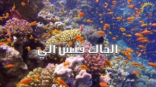 غوص كهوف | شرم الشيخ (راس محمد) | Cave Diving | sharm-el-sheikh