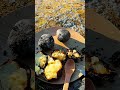 Lake Camping & Bushcraft Cooking | Biwak nad jeziorem #forest #nature #campfirecooking #bushcraft