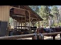 Trail Ride at Lake Wenatchee State Park || near Leavenworth, Washington