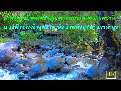 น้ำตกพลิ้ว จันทบุรี อัพเดทล่าสุด แนะนำการเข้าอุทยานน้ำตกพลิ้ว พาชมที่พักของอุทยานใกล้ชิดธรรมชาติ