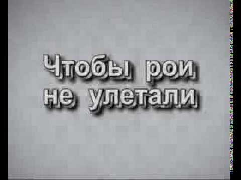 Чтобы рои не улетали